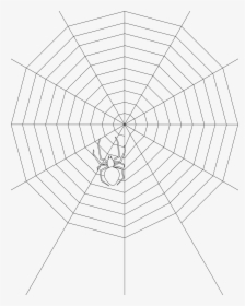Transparent Spider Webs Png - Orb Weaver Web Drawing, Png Download, Transparent PNG
