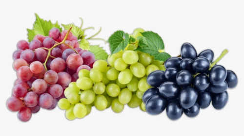Grapes Fruit, HD Png Download, Transparent PNG