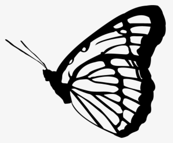 Monarch Butterfly Clipart Vector - Butterfly Vector Black And White, HD Png Download, Transparent PNG