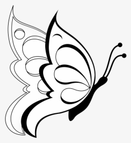 Butterfly Clipart Butterfly 19 Black White Line Art - Easy Beautiful Butterfly Drawing, HD Png Download, Transparent PNG