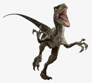 Jurassic World Evolution Png Download Image - Jurassic World Raptor Png, Transparent Png, Transparent PNG