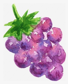 Cuisine, Food, Fruit, Fruits, Grape, Watercolor, Watercolors - Watercolor Paint, HD Png Download, Transparent PNG