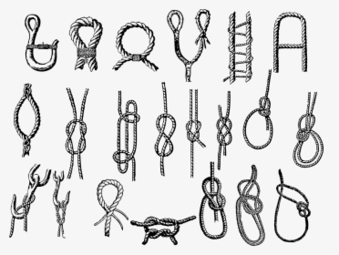 Clip Art Heart Knot Royalty Library - Important Knots, HD Png Download, Transparent PNG