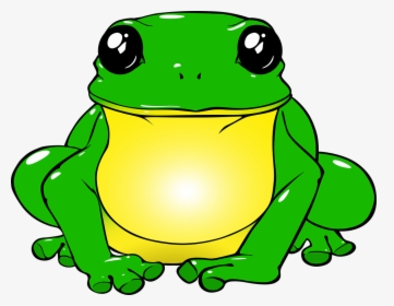 Frog, Toad, Green, Drawing, Png, Animals, Nature, Water - Frog With A Unicorn, Transparent Png, Transparent PNG