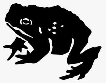 Transparent Toad Animal Png - Bufo, Png Download, Transparent PNG