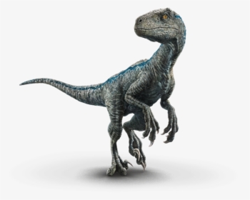 Blue - Blue Jurassic World Dinosaurs, HD Png Download, Transparent PNG