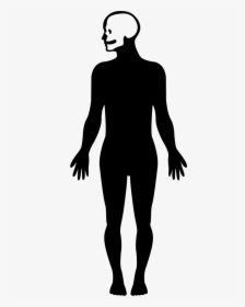 Human Body Silhouette With Focus On The Head - Human Body Shape Png, Transparent Png, Transparent PNG