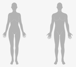 Transparent Figure Png - Transparent Female Body Silhouette, Png Download, Transparent PNG