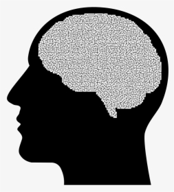 Transparent Man Head Silhouette Png - Brain Human Head Silhouette, Png Download, Transparent PNG