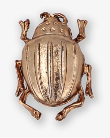 Beetle Gold-plated Brooch Ss19 Collection, Pal Zileri - Dung Beetle, HD Png Download, Transparent PNG
