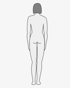 Female Body Silhouette - Cartoon, HD Png Download, Transparent PNG