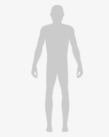 Grey Body Model Silhouette, HD Png Download, Transparent PNG