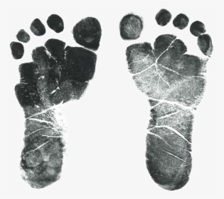 Baby Feet Png Transparent - Baby Footprints Transparent Background, Png Download, Transparent PNG
