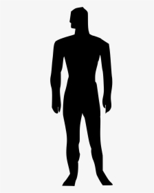 Transparent Muscles Body Silhouette - Full Body Silhouette Png, Png Download, Transparent PNG