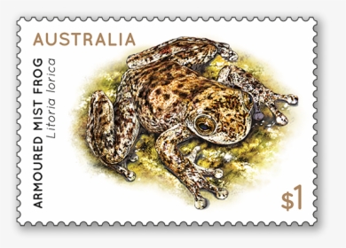 Frogs 2018 Australian Stamp Set Release Date, HD Png Download, Transparent PNG