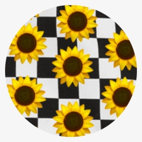 🌻  #checkerboard #emoji #sunflowers #background #aesthetic, HD Png Download, Transparent PNG