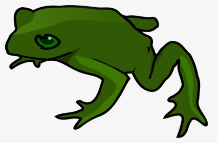 Frog Clip Art, HD Png Download, Transparent PNG