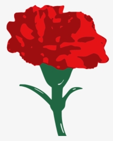 Carnation, Flower, Red - Clip Art Red Carnation, HD Png Download, Transparent PNG