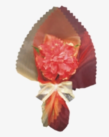 Transparent Red Carnation Png - Fruit, Png Download, Transparent PNG