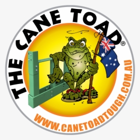 Amphibian Clipart Cane Toad - Cartoon, HD Png Download, Transparent PNG