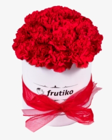 Red Carnations White Oval Box - Červené Karafiáty, HD Png Download, Transparent PNG