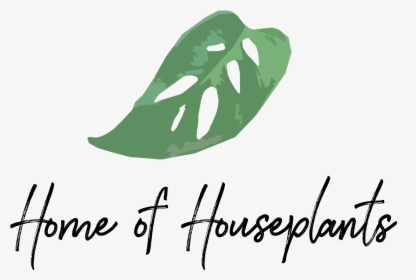 Monstera Adansonii , Png Download - House Plants Logo, Transparent Png, Transparent PNG