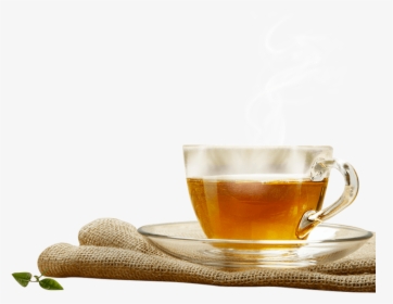 Tea Tasting In Dharamshala, HD Png Download, Transparent PNG