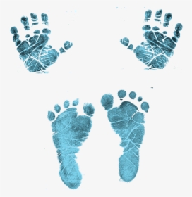 Handprint Clipart Newborn Baby - Baby Feet And Hands Png, Transparent Png, Transparent PNG