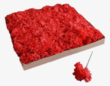 Get A Box Of Red Carnations To Insert Into Your Media - Raspberry, HD Png Download, Transparent PNG