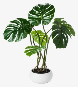 Fake Palm Leaf Plant, HD Png Download, Transparent PNG
