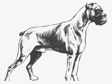 Transparent Pitbull Clipart - Full Body Dog Drawing, HD Png Download, Transparent PNG