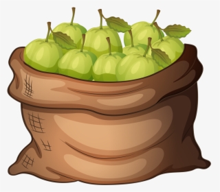Apples Clipart Garden - Basket Of Guava Clipart, HD Png Download, Transparent PNG