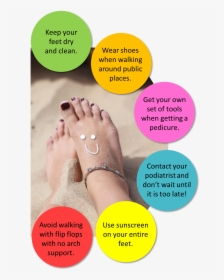 Normal Toes, HD Png Download, Transparent PNG