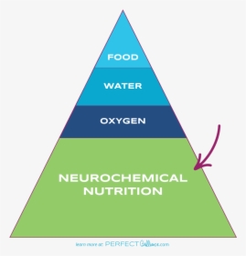 Learn More About Neurochemical Nutrition At Perfectbrilliance - Triangle, HD Png Download, Transparent PNG