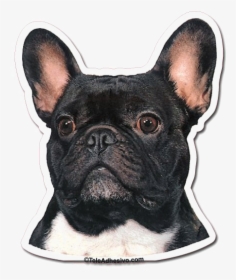 Bulldog Transparent Images - Bulldog Frances Ilustracion Png, Png Download, Transparent PNG