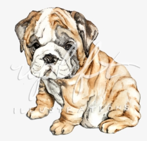 Bulldog, HD Png Download, Transparent PNG