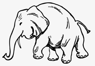 Draw A African Bush Elephant, HD Png Download, Transparent PNG