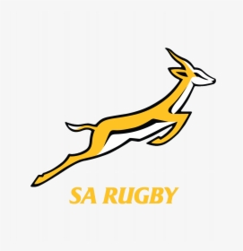Logo Rug Horizontale Variant Voorkeursvariant Logo - Logo South Africa Rugby, HD Png Download, Transparent PNG