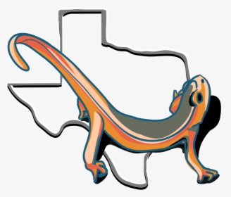 The Teaching Newt, HD Png Download, Transparent PNG