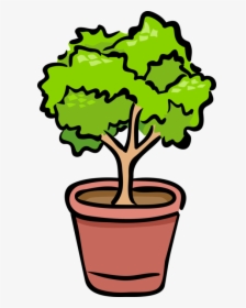 Vector Illustration Of Potted Plant Shrub Or Bush - Benefits Of Phototropism And Gravitropism For Plants, HD Png Download, Transparent PNG