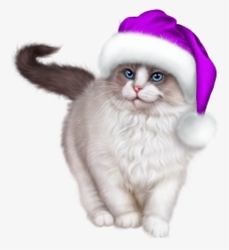 Transparent Christmas Cat Png - Cartoon Ragdoll Cat Drawing, Png Download, Transparent PNG