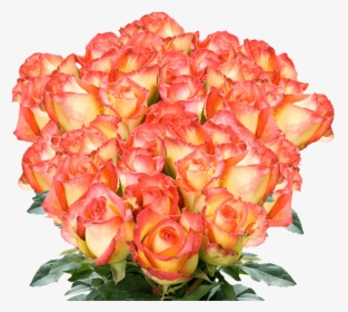 Buy Yellow And Red Roses Cheap Online - Floribunda, HD Png Download, Transparent PNG