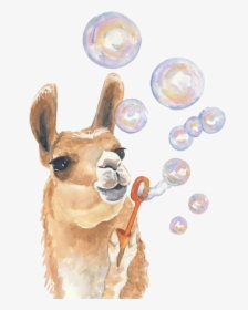 #watercolor #alpaca #llama #bubbles #blowing #babyanimals - Llama Painting, HD Png Download, Transparent PNG