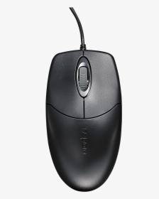Mouse, HD Png Download, Transparent PNG