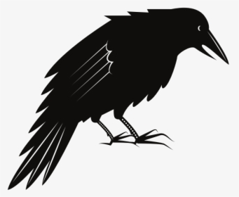 Black Crow Bird - Black Crow, HD Png Download, Transparent PNG