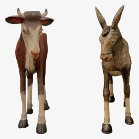 Burro, HD Png Download, Transparent PNG