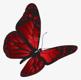 Download Red Butterfly Png Clipart Png Photo - Clipart Red Butterfly Png, Transparent Png, Transparent PNG