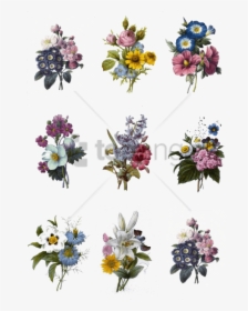 Free Png Colorful Flowers Tattoo Designs Png Image - Carnation And Sunflower Tattoo, Transparent Png, Transparent PNG