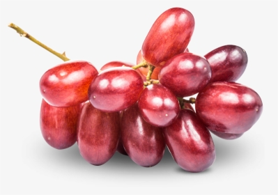 Grapes - Grape, HD Png Download, Transparent PNG