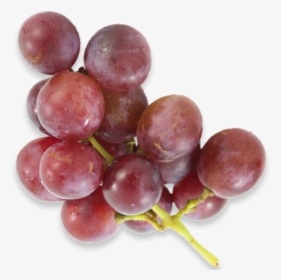 Grapes, Americas Breakroom - Pieces Of Grapes Png, Transparent Png, Transparent PNG